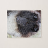 Puzzle Sheltie adorable (Horizontal)