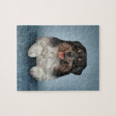 Puzzle Shepherd (Horizontal)