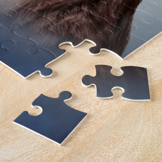 Puzzle Shepherd (Côté)