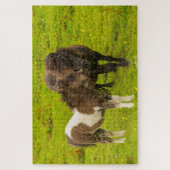 Puzzle Shetland Pony mère et progéniture (Vertical)