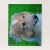 Puzzle Shetland Sheep Chien Jigsaw. (Vertical)