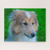 Puzzle Shetland Sheep Chien Jigsaw. (Horizontal)