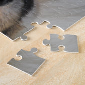 Puzzle Shetland Sheep Chien Jigsaw. (Côté)