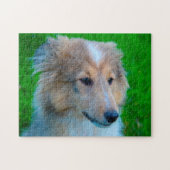 Puzzle Shetland Sheep Chien Jigsaw. (Horizontal)
