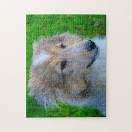 Puzzle Shetland Sheep Chien Jigsaw. (Vertical)