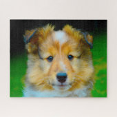 Puzzle Shetland Sheep Chien Jigsaw. (Horizontal)