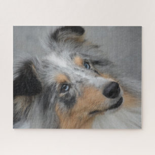 Puzzle Shetland Sheep Chien Jigsaw.