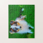 Puzzle Shetland Sheep Chien Jigsaw. (Vertical)