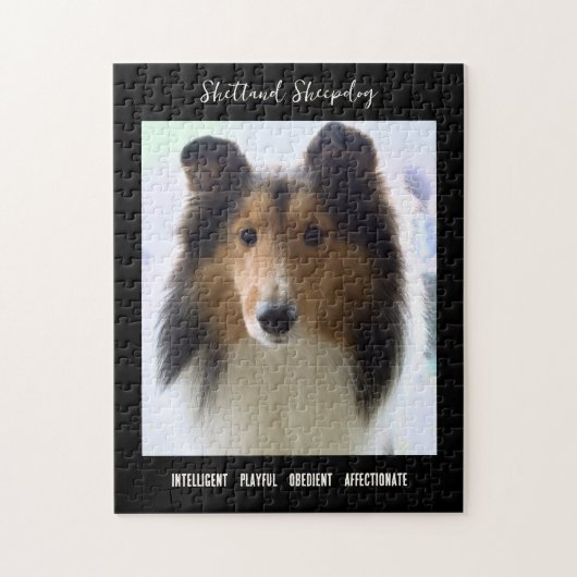 Puzzle Shetland Sheepdog Photo Chien de race (Vertical)