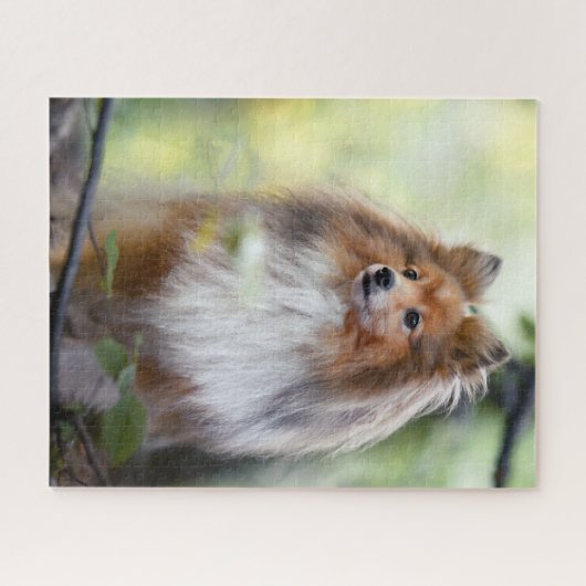 Puzzle Shetland Sheepdog Shelter petit chien en forêt (Horizontal)