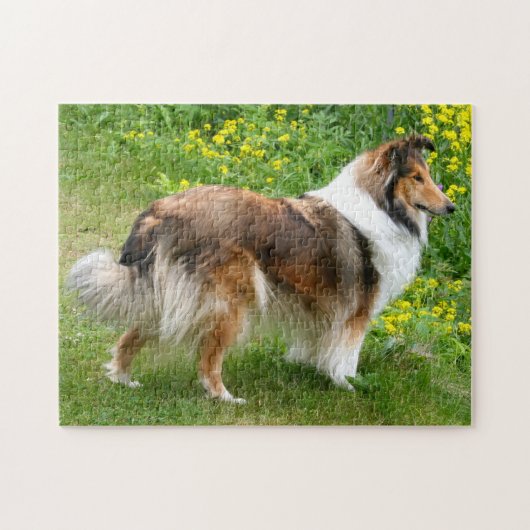 Puzzle Shetland Sheepdog - Sheltie Dog (Horizontal)