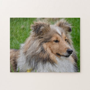 Puzzle Shetland Sheepdog - Sheltie Dog
