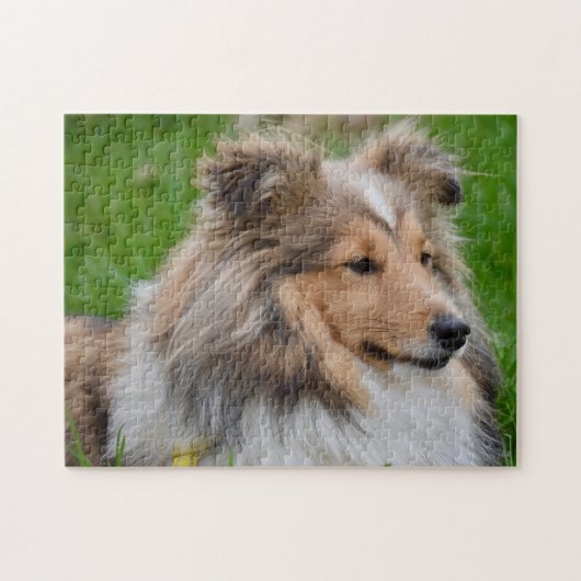 Puzzle Shetland Sheepdog - Sheltie Dog (Horizontal)