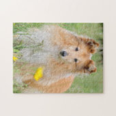 Puzzle Shetland Sheepdog - Sheltie Dog (Horizontal)