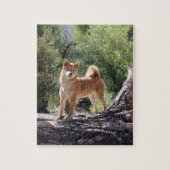 Puzzle Shiba Inu (Vertical)
