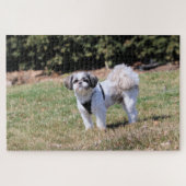 Puzzle Shih Tzu (Horizontal)
