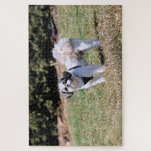 Puzzle Shih Tzu