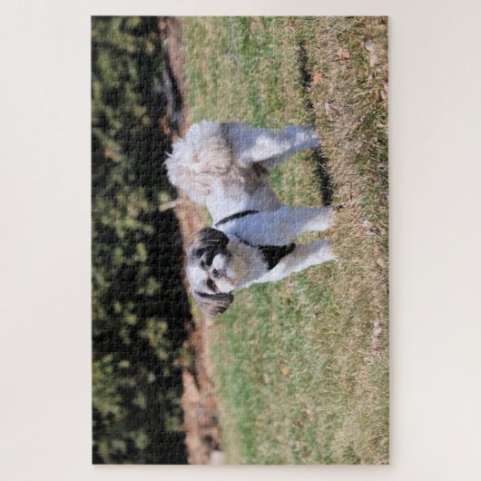 Puzzle Shih Tzu (Vertical)