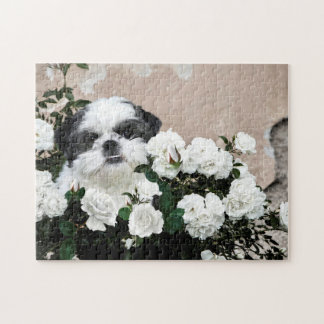 Puzzle Shih Tzu et roses