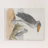 Puzzle Shoebill Stork 1887 Print Zoological African (Horizontal)