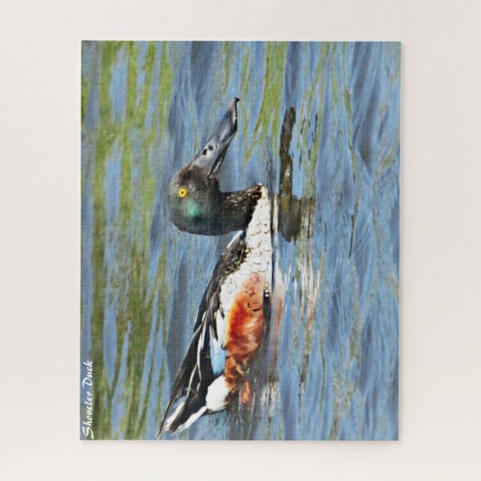 Puzzle Shoveler Duck (Vertical)