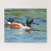 Puzzle Shoveler Duck (Horizontal)