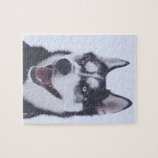 Puzzle Siberian Husky (Horizontal)