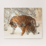 Puzzle Sibérie Tiger Mère et Kitten<br><div class="desc">Belle mère et tigre d'enfant dans un Puzzle de neige Wonderland en hiver</div>