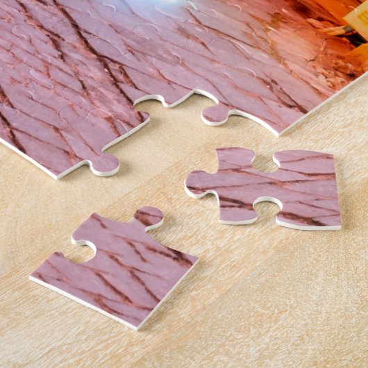 Puzzle Sighisoara (Côté)