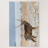 Puzzle Sika Stag dans un champ neigeux | Japon (Vertical)