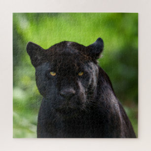 Puzzle Silence de perçage - Jaguar noir