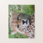 Puzzle Silencieux Cheetah Cub (Vertical)