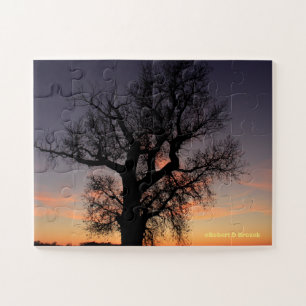 Puzzle Silhouette de l'arbre du Kansas