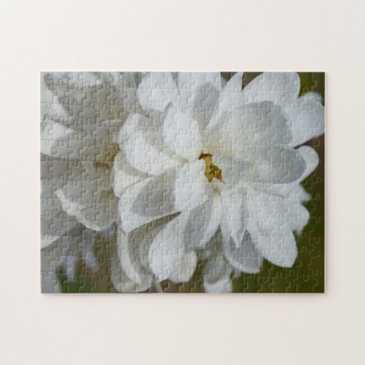 Puzzle Silky Magnolia (Horizontal)