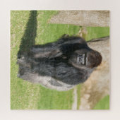Puzzle Silverback Gorilla – A Moment of Power (Horizontal)