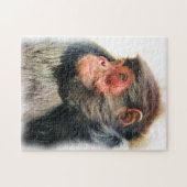 PUZZLE SINGE (Horizontal)