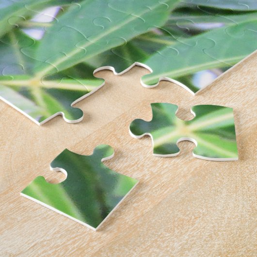 Puzzle singe araignée (Côté)