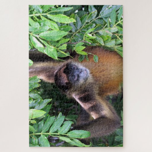 Puzzle singe araignée (Vertical)