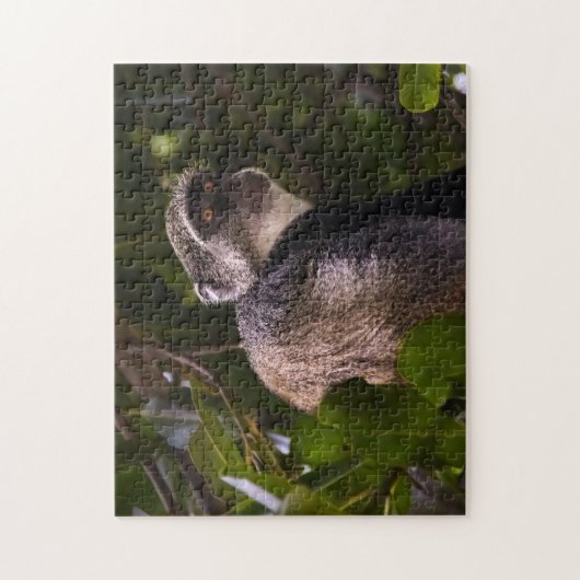 Puzzle Singe bleu, Zanzibar (Vertical)