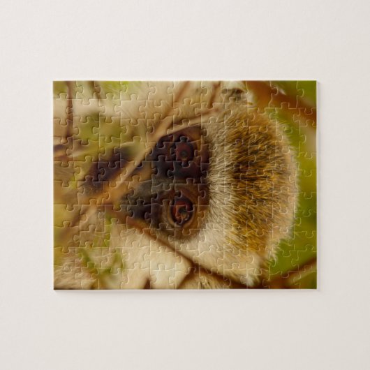 Puzzle Singe Cheeky. (Horizontal)