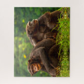 Puzzle Singe Chimpanzé. (Vertical)