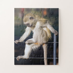 Puzzle Singe dans la pensée profonde