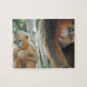 Puzzle Singe de bébé avec sa mère (Horizontal)