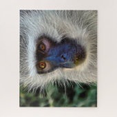 Puzzle Singe de velours. (Vertical)