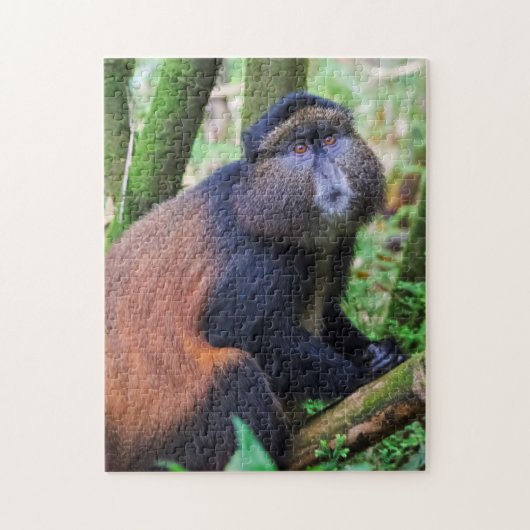 Puzzle Singe d'or, Rwanda (Vertical)