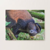Puzzle Singe doré, Rwanda (Horizontal)