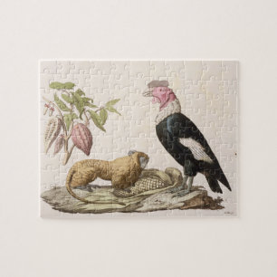 Puzzle Singe et condor de lion, indigènes au Chili ou en