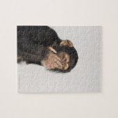 Puzzle Singe frottant son visage (Horizontal)