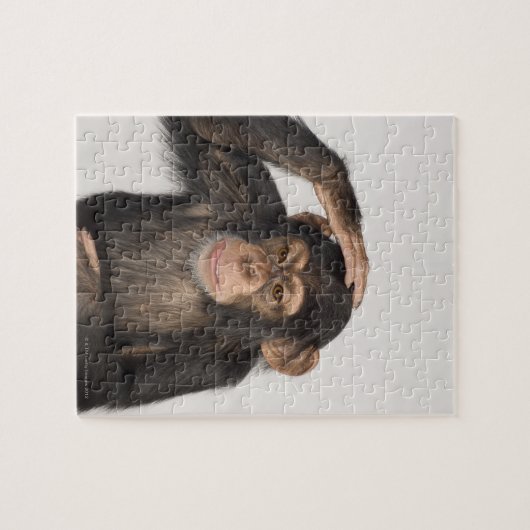 Puzzle Singe grattant sa tête (Horizontal)