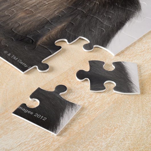 Puzzle Singe grattant sa tête (Côté)